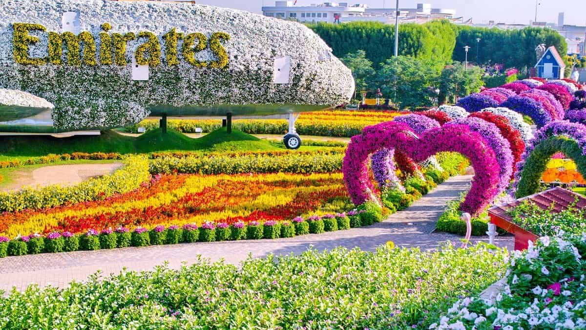 Miracle Garden 